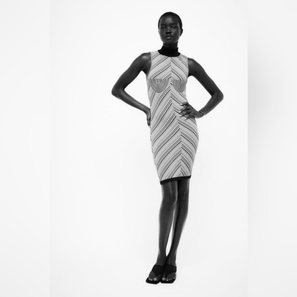 Zara Women Dress XS-S Black White Striped Limitless Contour Mock Neck Bodycon